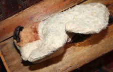 an antique dog pyjama case