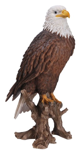 American bald eagle lifelike - bald,
