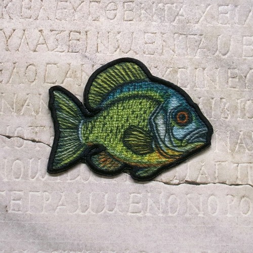 Bluegill angler fishing iron - bluegill,