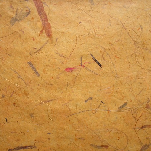 Mulberry paper with - 10,