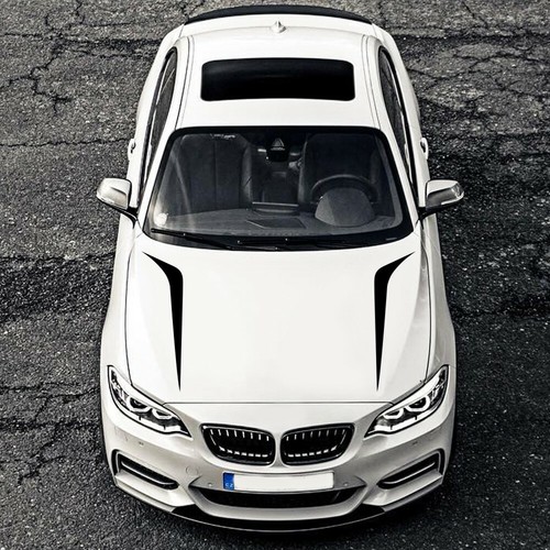 Racing car bonnet - racing,