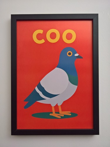 Coo pigeon wall art framed - art,