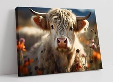 Beautiful highland cow and - cow,