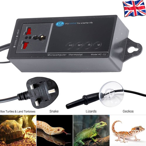 Digital reptile aquarium - digital,