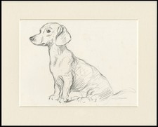 DACHSHUND VINTAGE 1937 DOG ART