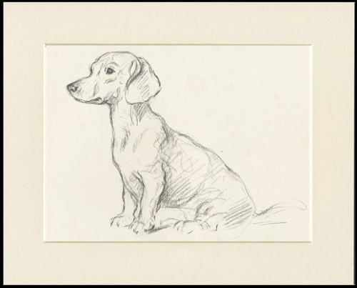 Dachshund vintage 1937 dog art - dachshund,