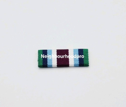 Wider service medal pin - wider, on