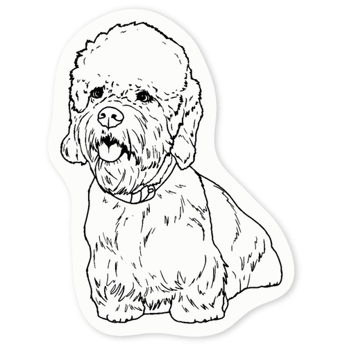 Dandie dinmont terrier - dinmont, clear