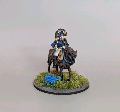 Napoleonic french general - napoleonic,