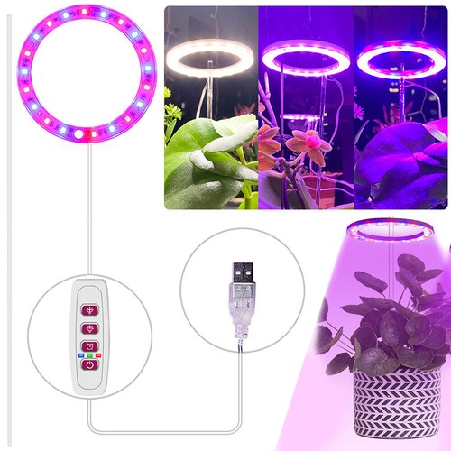 Led plant grow light - plant, lamp