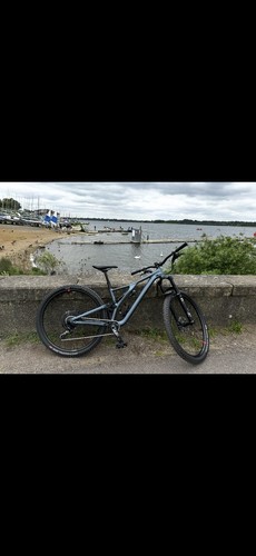Specialized stumpjumper 2019 - specialized,