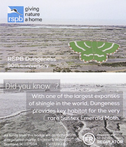 Rspb pin badge - pin, gnah