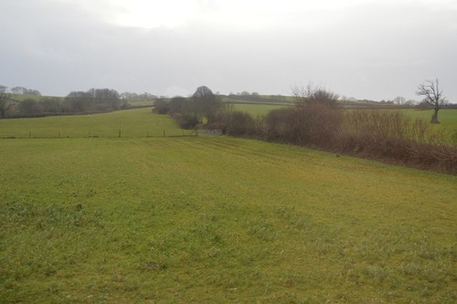 Photo 6x4 hedge - photo,