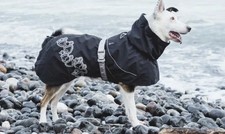 HURTTA WARMING DRIZZLE PET