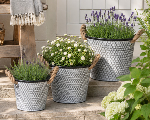 Galvanised metal planter - galvanised,