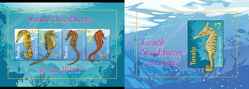 2021 tuvalu seahorses - 03-,
