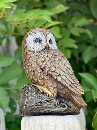 Stone owl figurine concrete - owl,