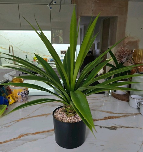 Artifical faux plant tub - faux, in