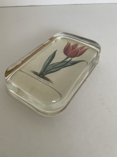 Rectangle glass paperweight - rectangle,
