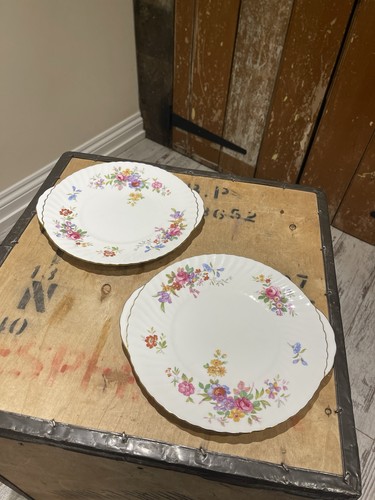 Adderley bone china dinner - bone,