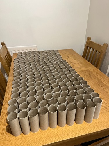 200 empty cardboard toilet - cardboard,