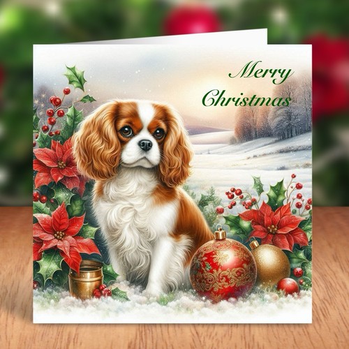 Cavalier king charles spaniel - cavalier,