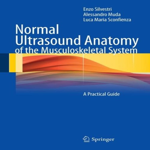 Normal ultrasound anatomy - normal,