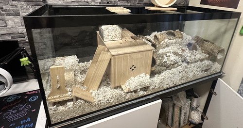 150x60x60 glass fish - glass, tank