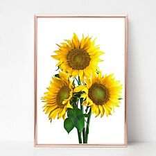SUNFLOWER FLOWER print PICTURE