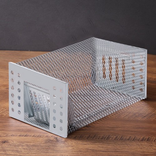 Rat mouse trap - mouse,