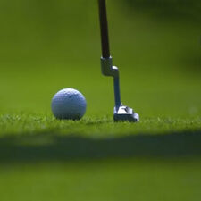 20kg Boston Bulbs Premier Golf Green & Bowling Green Grass Seed Mix