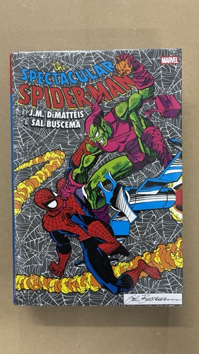 The spectacular spider man - the, spider-man
