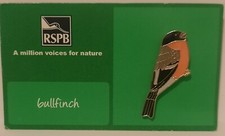 Bullfinch RSPB Bird Pin Badge