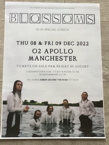 Blossoms concert poster - blossoms,