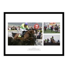 Kauto star montage horse - star,