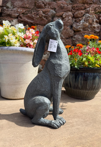 Moon gazing hare - moon,