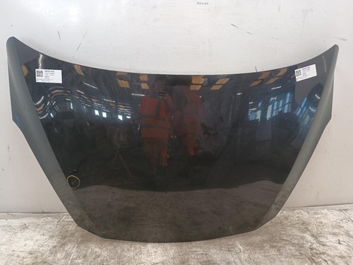 2021 ford fiesta bonnet - ford,