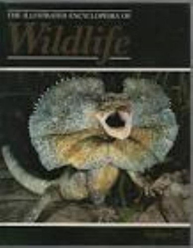 Orbis the illustrated - orbis:,