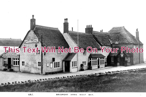2363 bridport arms pub - arms,