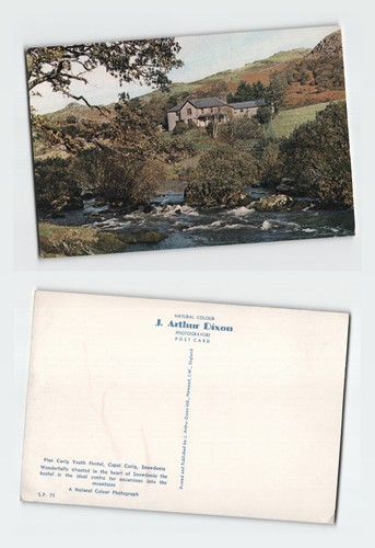 Vintage postcard plas - vintage, curig