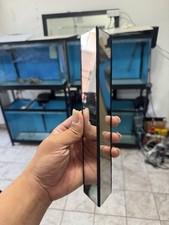 Flowerhorn Fish Training