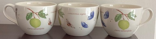 Wedgwood sarah garden - wedgwood, sarah's
