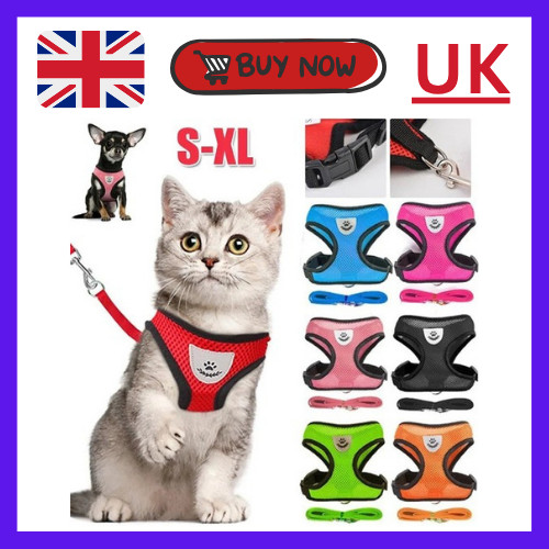 Cat dog harness - with, lead