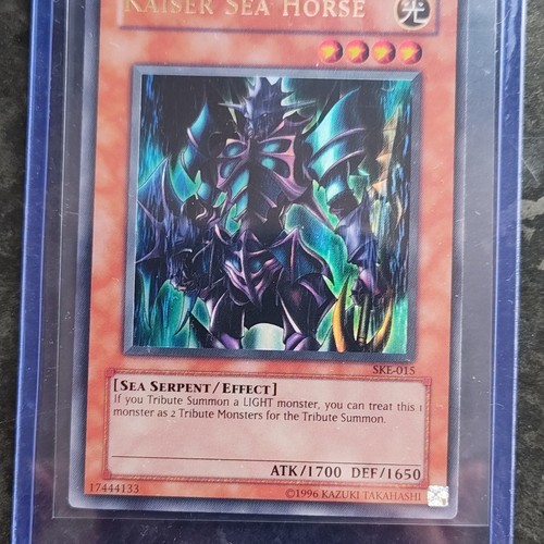 Kaiser sea horse - horse, ske-015