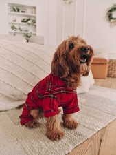 Next Red Check Christmas