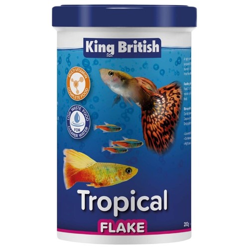 King british tropical - king,