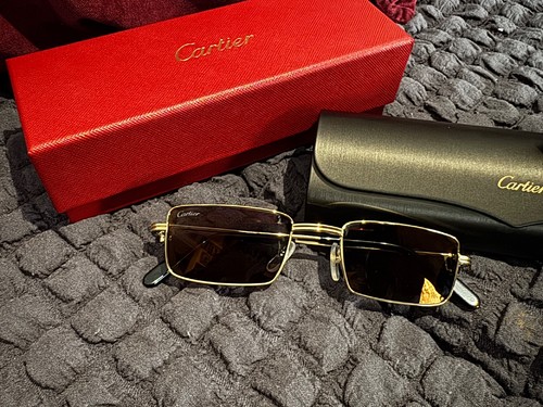 Cartier sunglasses ct0501s - cartier,