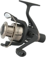 Excellent Mitchell Avocet