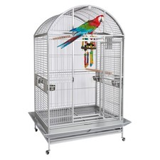 Rainforest Cages Rio Ara Macaw
