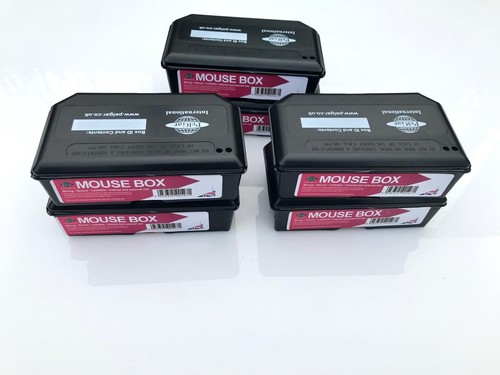 Professional rodent mouse - rodent, bait